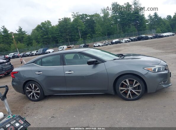 1N4AA6AP1HC456203 2017 NISSAN MAXIMA Gray Սալոնի հետևի տեսք