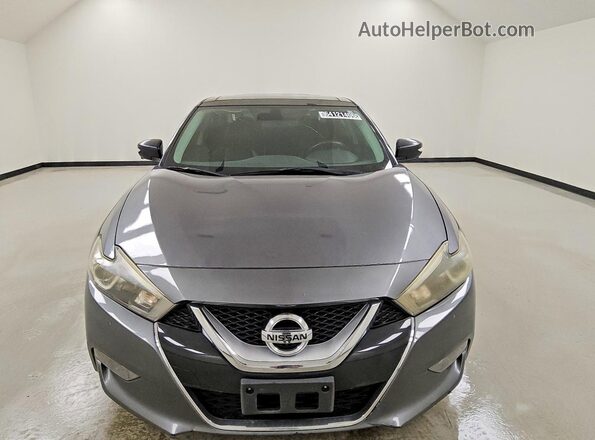 1N4AA6AP2GC423113 2016 NISSAN MAXIMA Gray წინა ხედი
