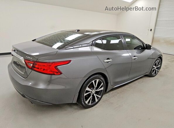 1N4AA6AP2GC423113 2016 NISSAN MAXIMA Gray უკანა მარჯვენა