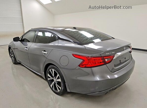 1N4AA6AP2GC423113 2016 NISSAN MAXIMA Gray უკანა მარცხენა