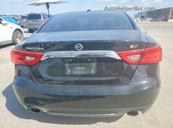 1N4AA6AP2HC403574 2017 NISSAN MAXIMA Black Widok z tyłu