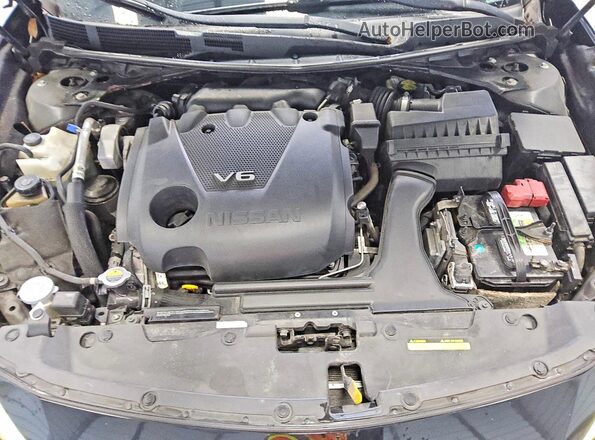 1N4AA6AP6HC382194 2017 NISSAN MAXIMA Black Սալոնի հետևի տեսք