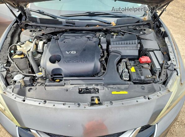 1N4AA6AP8HC371634 2017 NISSAN MAXIMA Gray Սալոնի հետևի տեսք