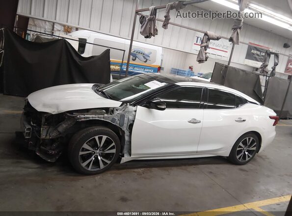 1N4AA6APXGC906574 2016 NISSAN MAXIMA White 