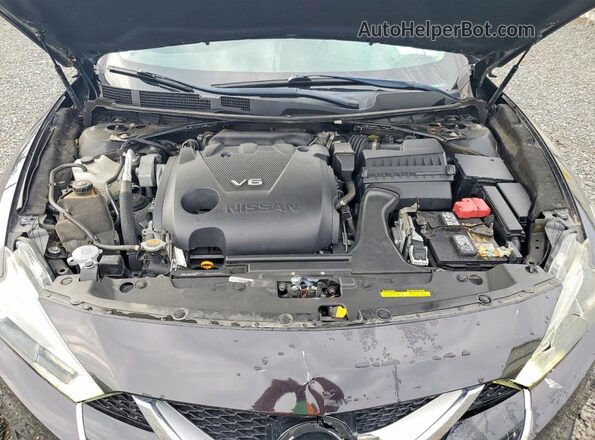 1N4AA6APXHC360103 2017 NISSAN MAXIMA Gray Vista interior trasera
