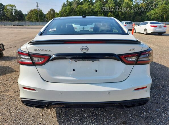 1N4AA6EV6PC501854 2023 NISSAN MAXIMA White Widok z tyłu
