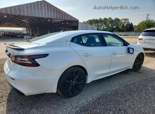 1N4AA6EV6PC501854 2023 NISSAN MAXIMA White Tył prawy