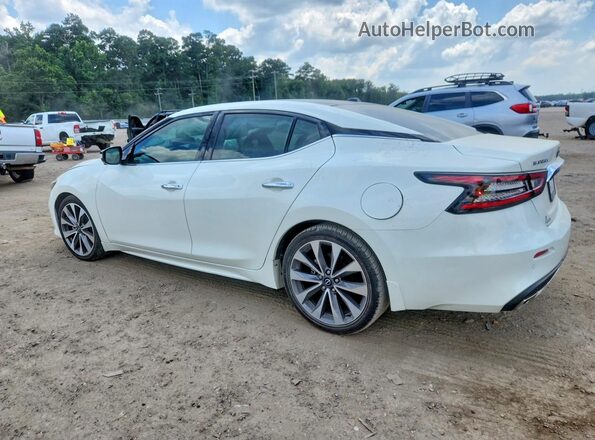 1N4AA6FV0PC501105 2023 NISSAN MAXIMA White Trasero izquierdo