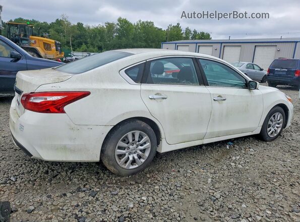 1N4AL3AP8HN338839 2017 NISSAN ALTIMA Белый Задняя правая четверть