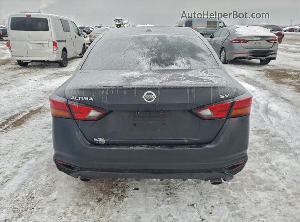 1N4BL4DV0KC110275 2019 NISSAN ALTIMA Blue Հետևի տեսք