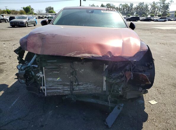 1N4BL4DV3PN405852 2023 NISSAN ALTIMA Бордовый Вид спереди
