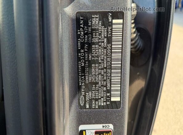 KM8R24GE1SU810996 2025 HYUNDAI PALISADE Gray Widok wnętrza z tyłu