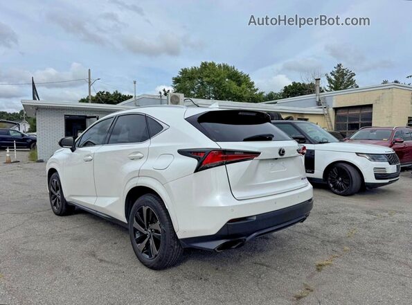 JTJGARBZ5L2167925 2020 LEXUS NX White Tył prawy