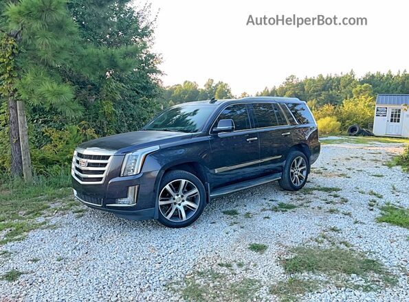 1GYS3BKJ0GR384346 2016 CADILLAC ESCALADE Серый Задняя правая четверть