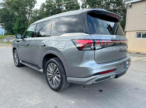 JN8AZ3DB3S9402007 2025 INFINITI QX80 Silver Задня права чверть