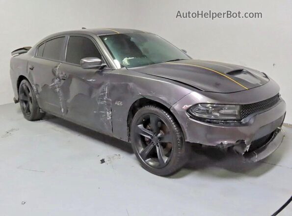 2C3CDXCT9KH738009 2019 DODGE CHARGER Gray Tył lewy