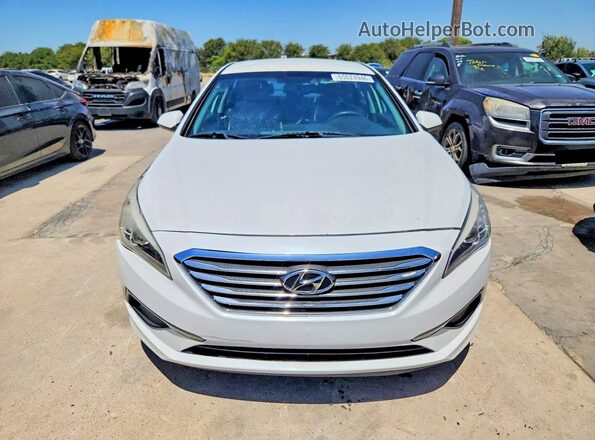 5NPE24AFXGH375823 2016 HYUNDAI SONATA White Widok z tyłu