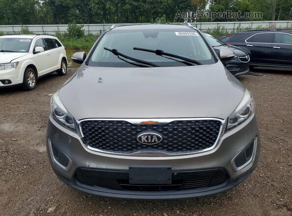 5XYPGDA33HG204467 2017 KIA SORENTO Gray უკანა ხედი