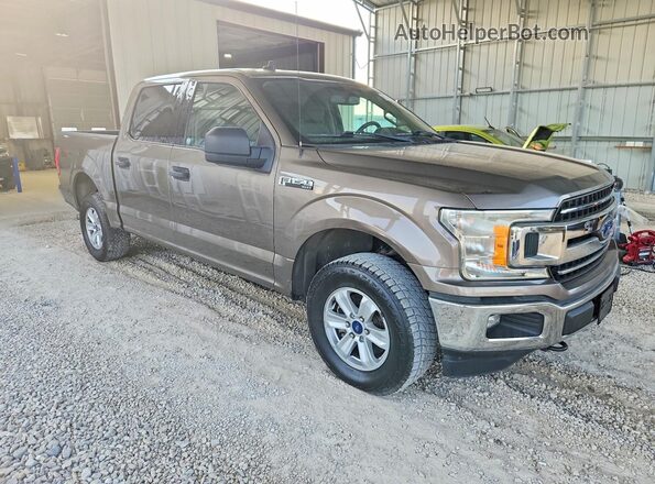 1FTEW1E40LFA21728 2020 FORD F150 Brown Widok z przodu