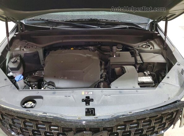 5XYP3DGC5SG662490 2025 KIA TELLURIDE Green VIN კოდის სტიკერის ხედი