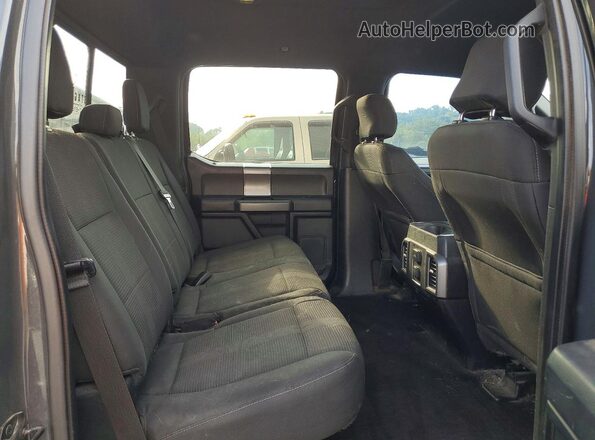 1FTEW1EF1GFA13502 2016 FORD F150 Серый Вид задней части салона