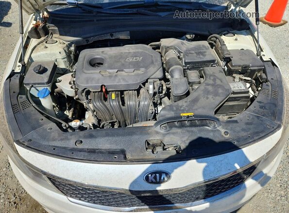 KNAGT4L34G5102737 2016 KIA OPTIMA White Շարժիչի բաժամունքի տեսք