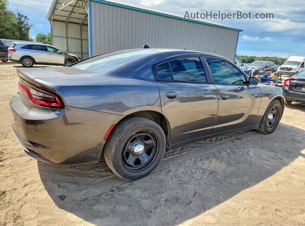2C3CDXAG5KH734254 2019 DODGE CHARGER Charcoal Задня права чверть