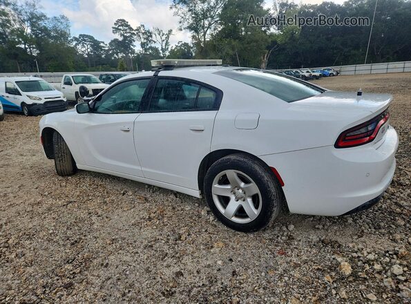 2C3CDXAG7KH544570 2019 DODGE CHARGER White Задня ліва чверть