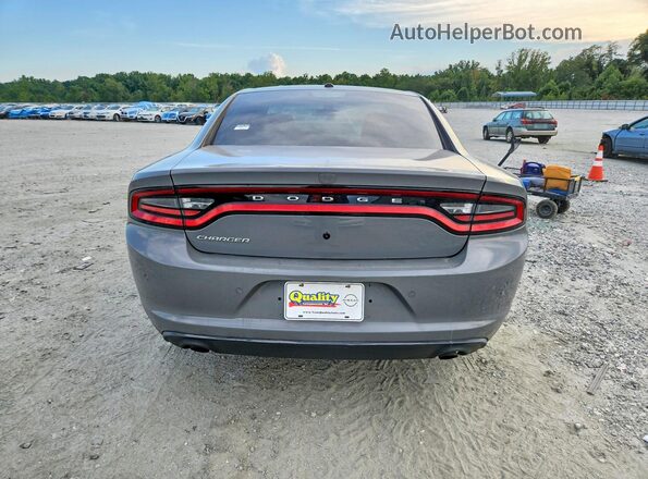 2C3CDXAGXKH638653 2019 DODGE CHARGER Серый Вид сзади