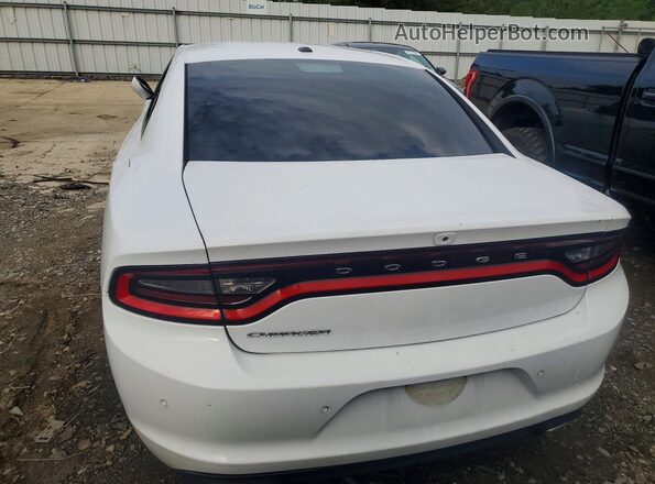 2C3CDXBG0KH748173 2019 DODGE CHARGER White Հետևի տեսք