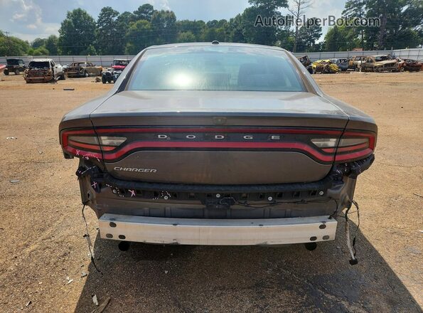 2C3CDXBG2KH707589 2019 DODGE CHARGER Серый Вид сзади
