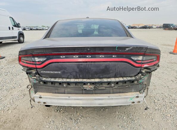2C3CDXBG3MH624479 2021 DODGE CHARGER Gray Вид ззаду