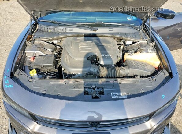 2C3CDXBG8PH564400 2023 DODGE CHARGER Gray უკანა სალონის ხედი