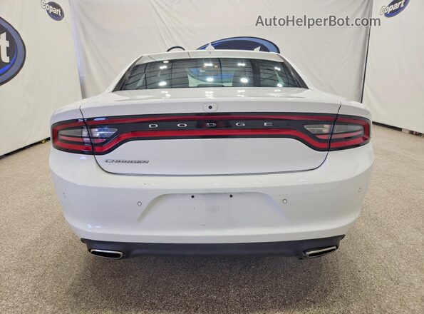 2C3CDXBG8PH687811 2023 DODGE CHARGER White Widok z tyłu