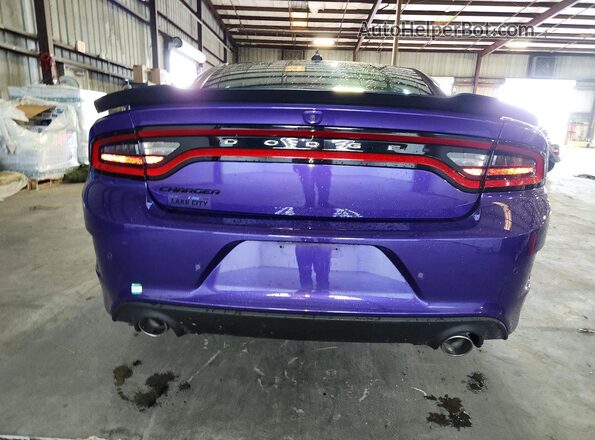 2C3CDXCT5PH639503 2023 DODGE CHARGER Фиолетовый Вид сзади