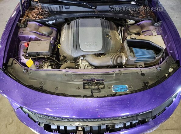 2C3CDXCT5PH639503 2023 DODGE CHARGER Фиолетовый Вид задней части салона