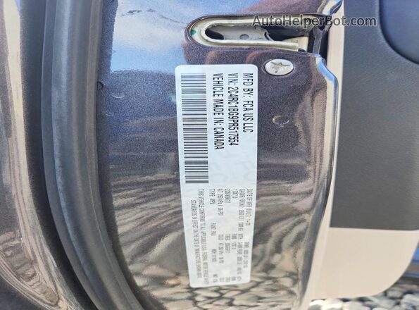 2C4RC1BG9PR517554 2023 CHRYSLER PACIFICA Charcoal Vista de la etiqueta del VIN