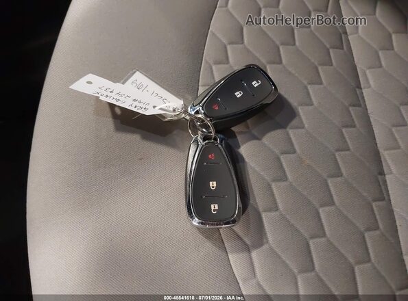 2GNAXSEV7L6254937 2020 CHEVROLET EQUINOX Gray წინა პანელის ხედი