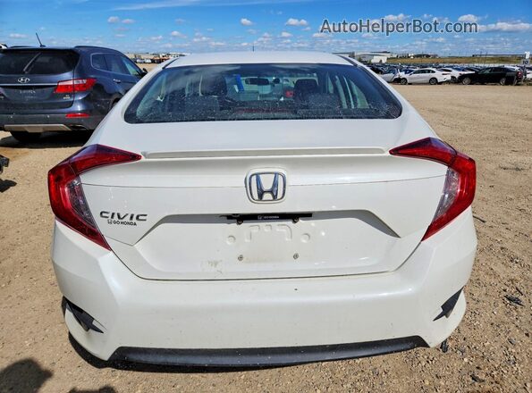 2HGFC1F40HH107625 2017 HONDA CIVIC White Widok z tyłu
