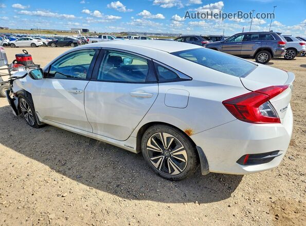 2HGFC1F40HH107625 2017 HONDA CIVIC White Tył lewy