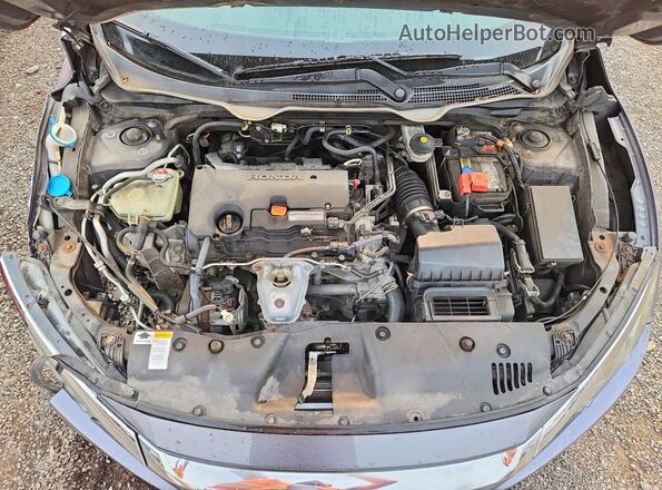 2HGFC2F50GH527222 2016 HONDA CIVIC Серый Вид задней части салона