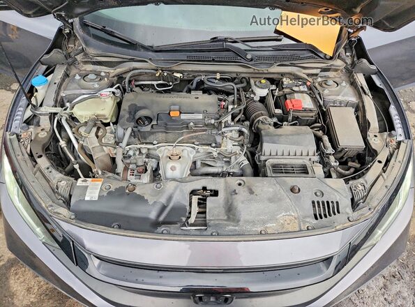 2HGFC2F61LH566713 2020 HONDA CIVIC Gray Вид задньої частини салону