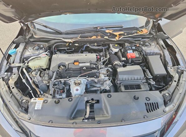 2HGFC2F65LH509219 2020 HONDA CIVIC Gray Սալոնի հետևի տեսք