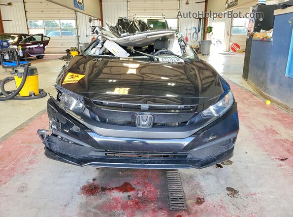2HGFC2F66KH546441 2019 HONDA CIVIC Black Vista frontal