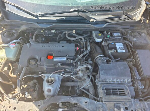 2HGFC2F6XHH036490 2017 HONDA CIVIC Black Widok z tyłu