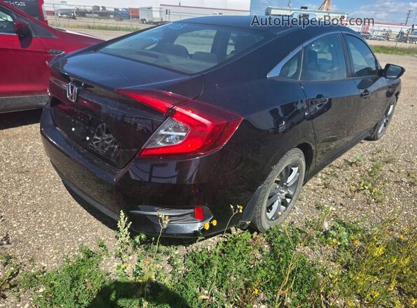 2HGFC2F6XHH036490 2017 HONDA CIVIC Black Tył prawy