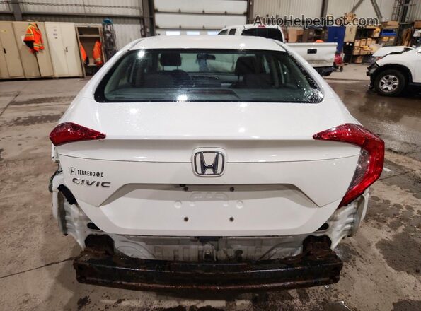 2HGFC2F71GH033906 2016 HONDA CIVIC Белый Вид сзади