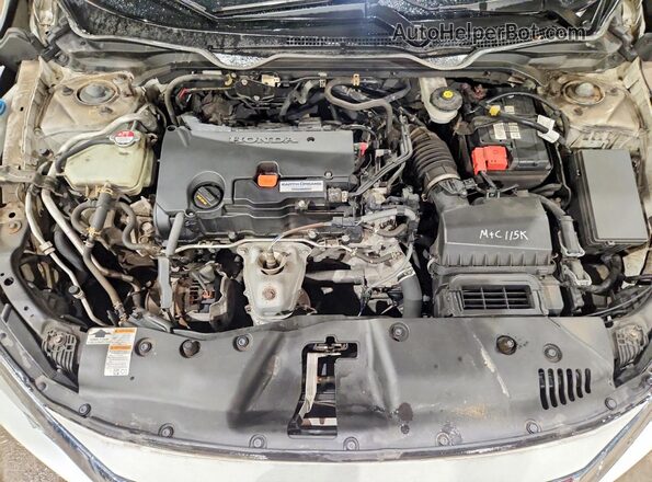 2HGFC2F71GH033906 2016 HONDA CIVIC Белый Вид задней части салона
