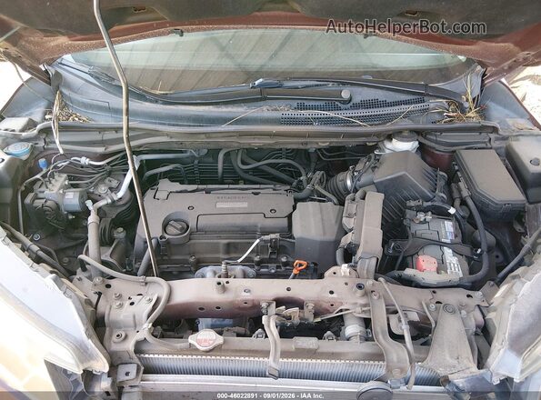 2HKRM3H44GH545149 2016 HONDA CR-V Темно-бордовый Вид сзади