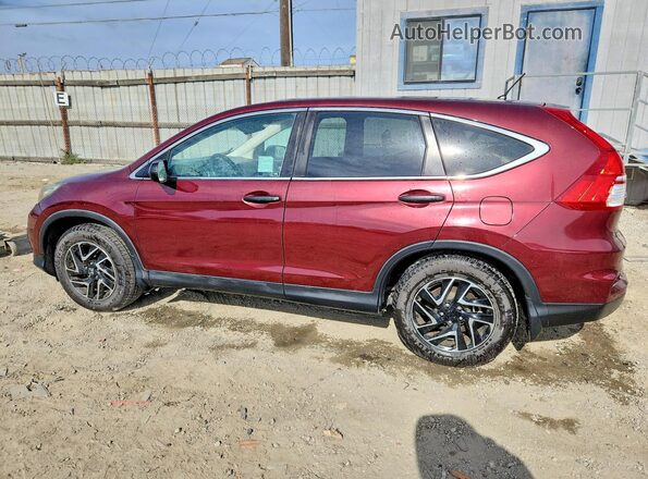 2HKRM3H46GH560669 2016 HONDA CR-V Burgundy Rear left